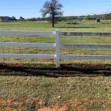 Fence Clean 1